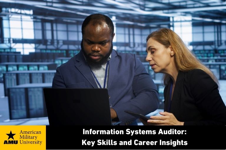 info-system-auditor information systems auditors