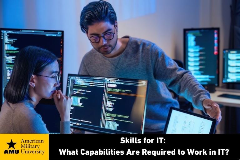 IT-skills IT professionals working on computers