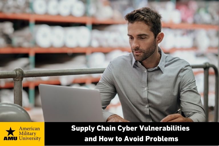 supply chain manager working on laptop in warehouse