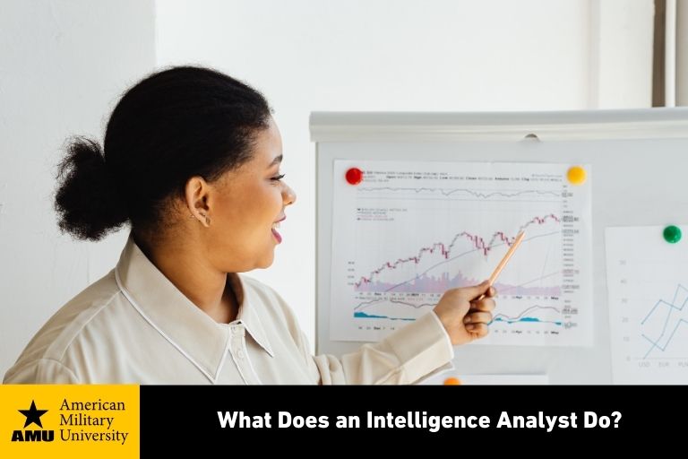 intelligence analyst reviewing data