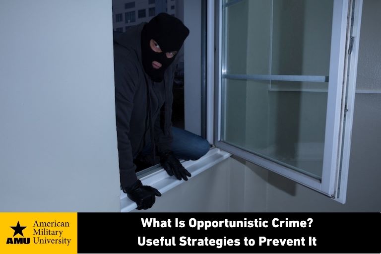 opportunistic criminal entering home through window